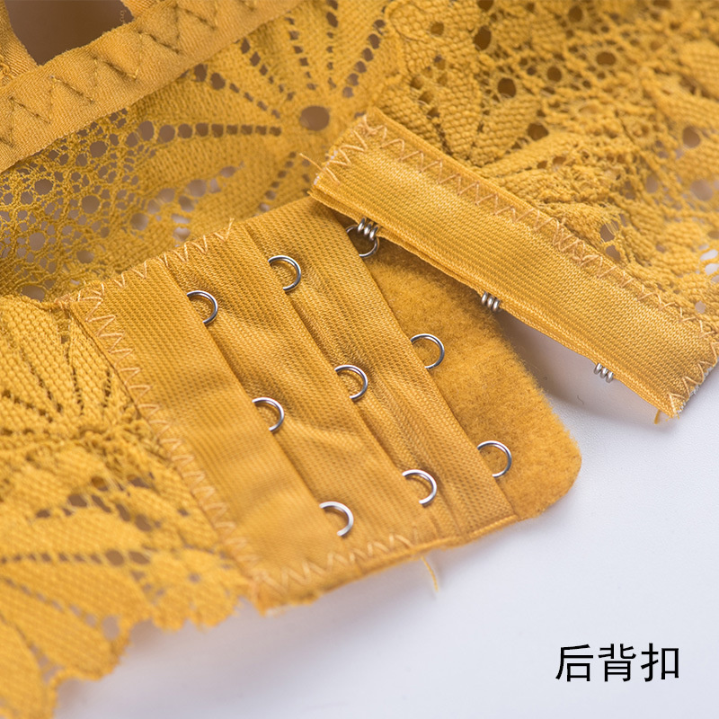 3D Sexy girl lace Lingerie Sea - Sheer Bra Lace のレビューと価格