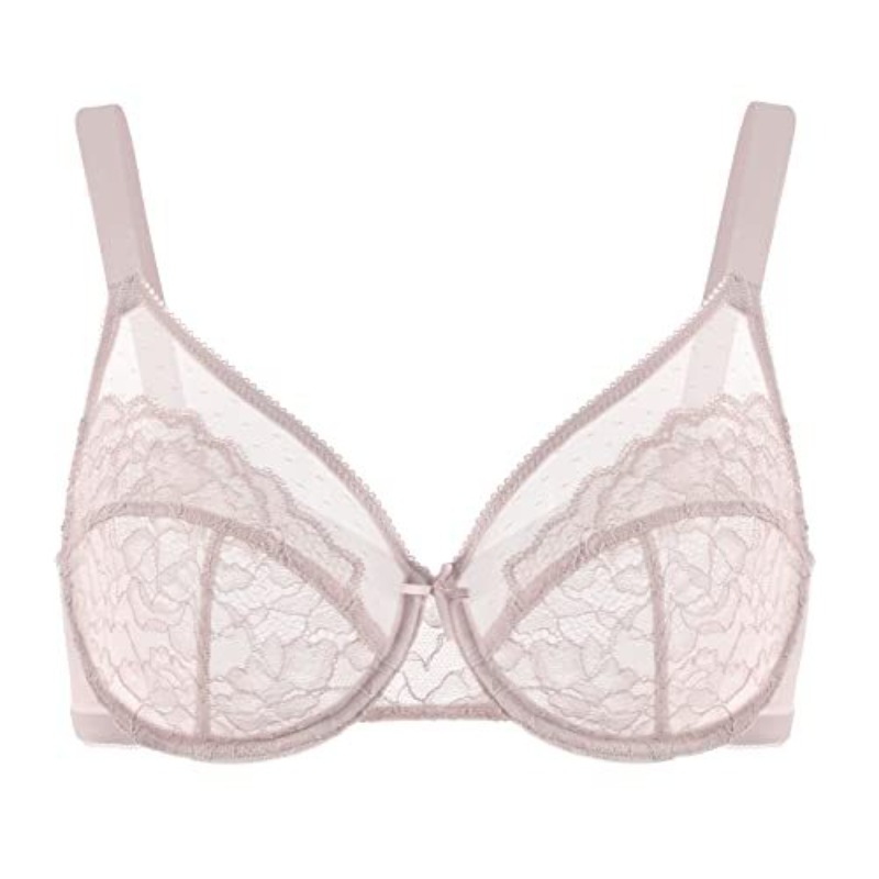 Plus Size Lace Bra French Push - Sheer Mesh Bra のレビューと価格