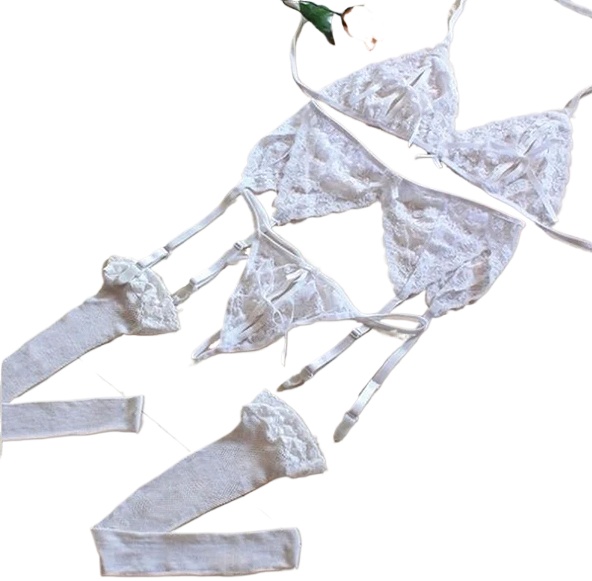 Lace Women Lingerie Set 4 Pcs  - Sheer Mesh Bra のレビューと価格