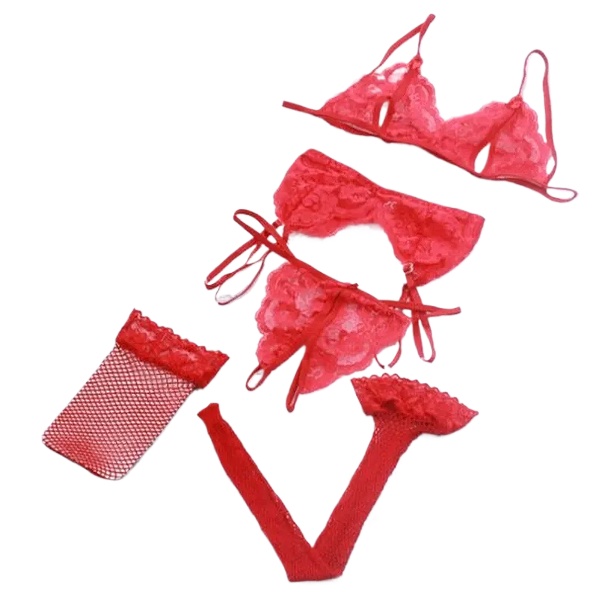 Lace Women Lingerie Set 4 Pcs  - Sheer Mesh Bra のレビューと価格